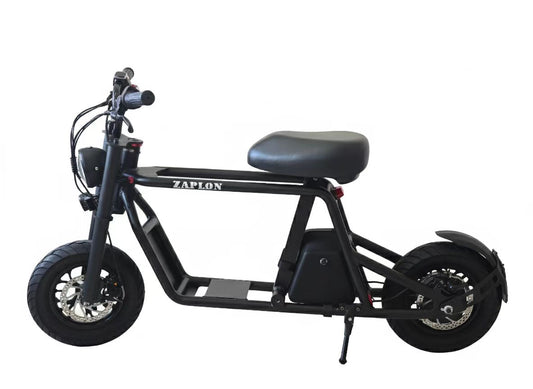 B1 electric scooter
