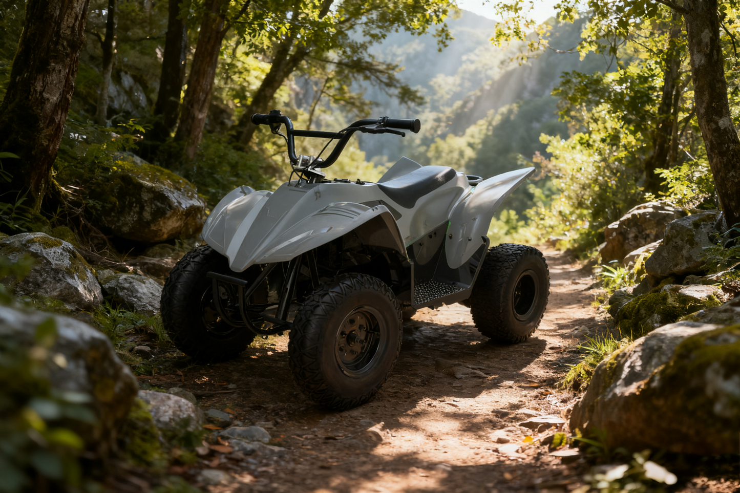 DQ500 Electric motorcycle