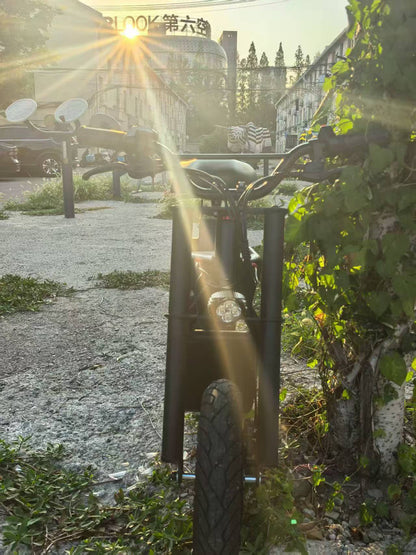 B1 electric scooter