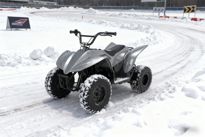 DQ500 Electric motorcycle