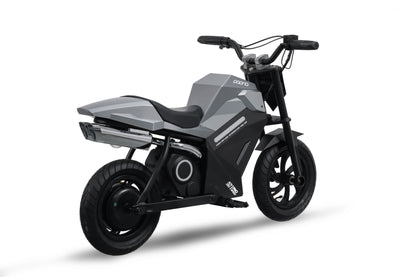 ADV250 Electric motorcycle