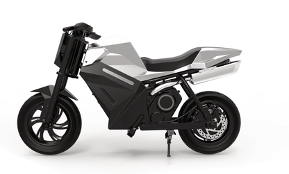 ADV250 Electric motorcycle
