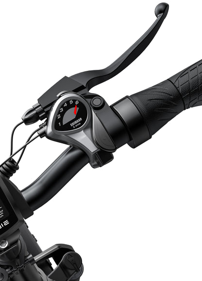 ENGWE EP-2 PRO EBIKE